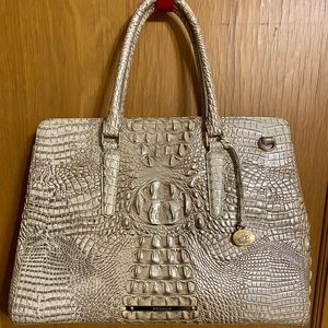 Brahmin Finely CarryAll